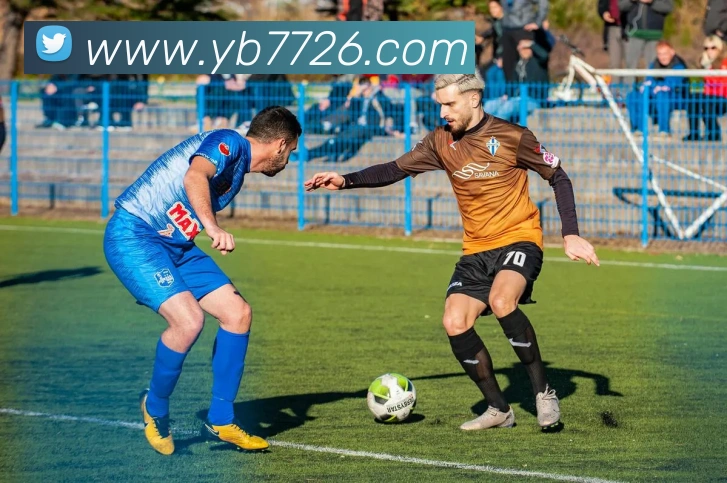 云顶国际发展历程